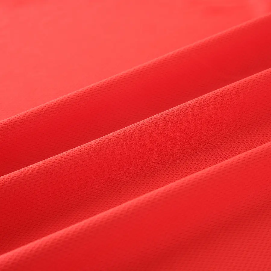 75/72 Polyester Mesh Fabric